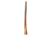 Heartland Didgeridoo (HD432)